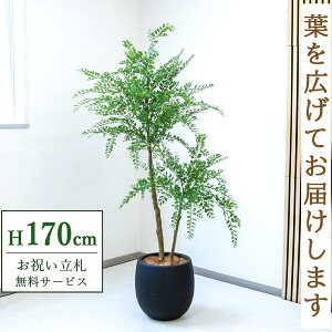 �t�F�C�N�O���[�� �ϗt�A�� �l�H�ϗt�A�� �g�l���R ��^ 170cm ���t�� / ���D���� �������� �@�l�E�J�X�j�� �X�܁E�I�t�B�X���� ��ԉ��o ����/PG1013-BAL35BK