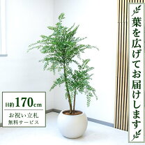 楽天市場】観葉植物 造花 170cmの通販