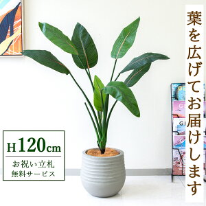 フェイクグリーン ストレチア H約120cm 鉢付き / 人工観葉植物 観葉植物 フェイク 造花 店舗 装飾 開店 開業 移転 祝い ギフト プレゼント おしゃれ 住宅展示場 モデルハウス オフィス 立札無料