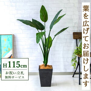 フェイクグリーン ストレチア H約115cm 鉢付き / 人工観葉植物 観葉植物 フェイク 造花 店舗 装飾 開店 開業 移転 祝い ギフト プレゼント おしゃれ 住宅展示場 モデルハウス オフィス 立札無料