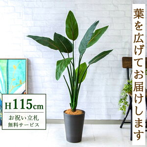 tFCNO[ Xg`A H115cm t / lHϗtA ϗtA tFCN  X  JX J ړ] j Mtg v[g  ZW fnEX ItBX D