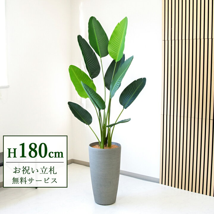 楽天市場】フェイクグリーン 観葉植物 人工観葉植物 オーガスタ 大型 