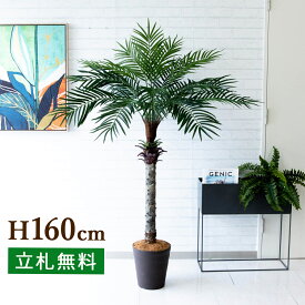 人工観葉植物 フェイクグリーン フェニックスパームツリー(ヤシの木) H約160cm [お祝い立札無料] 観葉植物 フェイク 造花 開店祝い おしゃれ インテリア 住宅展示場 店舗【PG212-B240BR フェニックスパームツリー(ヤシの木) H約160cm/ポリプロピレン鉢 】