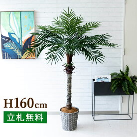 人工 観葉植物 フェイク グリーン フェニックスパームツリー(ヤシの木) H約160cm 大型 店舗 装飾 開店 開業 移転 祝い ギフト プレゼント 住宅展示場 モデルハウス オフィス 2分割【PG212-MEL26GY フェニックスパームツリー(ヤシの木) H約160cm/バスケット鉢】