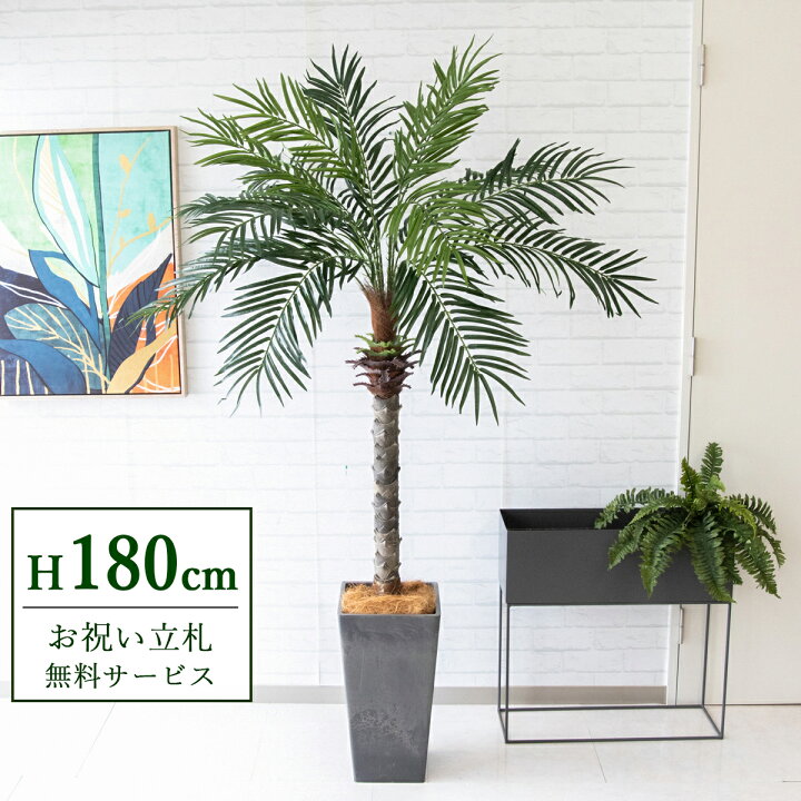 楽天市場】フェイクグリーン 観葉植物 人工観葉植物 フェニックス 