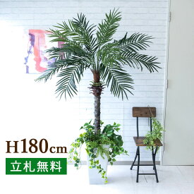 人工 観葉植物 フェイク グリーン フェニックスパームツリー(ヤシの木) H約180cm 大型 店舗 装飾 開店 開業 移転 祝い ギフト プレゼント 住宅展示場 モデルハウス オフィス 2分割【PG212-Q25WH-UG1 フェニックスパームツリー(ヤシの木) H約180cm/プラスチック樹脂鉢】