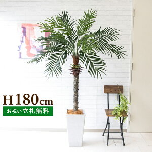 tFCNO[ tFjbNXp[c[(V̖) H180cm t 2 / lHϗtA ϗtA tFCN  ^ 傫p[c[ 썑  X  JX J ړ] j 