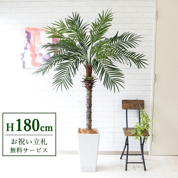 楽天市場】フェイクグリーン フェニックスパームツリー(ヤシの木) H約 