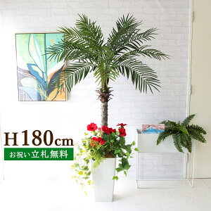 tFCNO[ tFjbNXp[c[(V̖) H180cm t 2 / lHϗtA ϗtA tFCN  ^ 傫p[c[ 썑  X  JX J ړ] j 