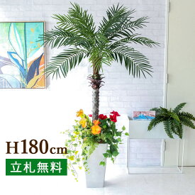 人工 観葉植物 フェイク グリーン フェニックスパームツリー(ヤシの木) H約180cm 大型 店舗 装飾 開店 開業 移転 祝い ギフト プレゼント 住宅展示場 モデルハウス オフィス 2分割【PG212-Q25WH-UG1-UF2 フェニックスパームツリー(ヤシの木) H約180cm/プラスチック樹脂鉢】