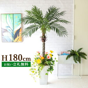 tFCNO[ tFjbNXp[c[(V̖) H180cm t 2 / lHϗtA ϗtA tFCN  ^ 傫p[c[ 썑  X  JX J ړ] j 