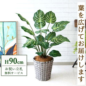 フェイクグリーン ゼブラ H約90cm 鉢付き / 人工観葉植物 観葉植物 フェイク 造花 店舗 装飾 開店 開業 移転 祝い ギフト プレゼント おしゃれ 住宅展示場 モデルハウス オフィス 立札無料 /PG214