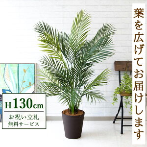 tFCNO[ AJp[c[ H130cm t / lHϗtA ϗtA tFCN ԃp[c[ 썑  X  JX J ړ] j Mtg v[g  ZW 