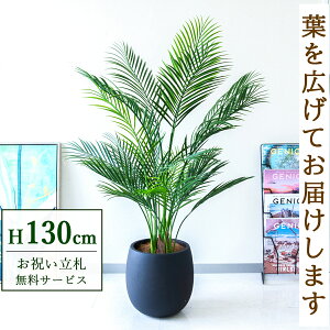 tFCNO[ AJp[c[ H130cm t / lHϗtA ϗtA tFCN ԃp[c[ 썑  X  JX J ړ] j Mtg v[g  ZW 