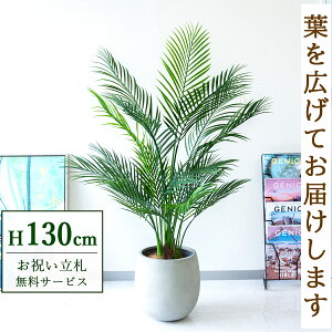 tFCNO[ AJp[c[ H130cm t / lHϗtA ϗtA tFCN ԃp[c[ 썑  X  JX J ړ] j Mtg v[g  ZW 