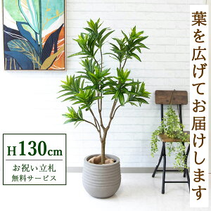 tFCNO[ \OIuW}CJ H130cm t / lHϗtA ϗtA tFCN  X  JX J ړ] j Mtg v[g  ZW fnEX ItB