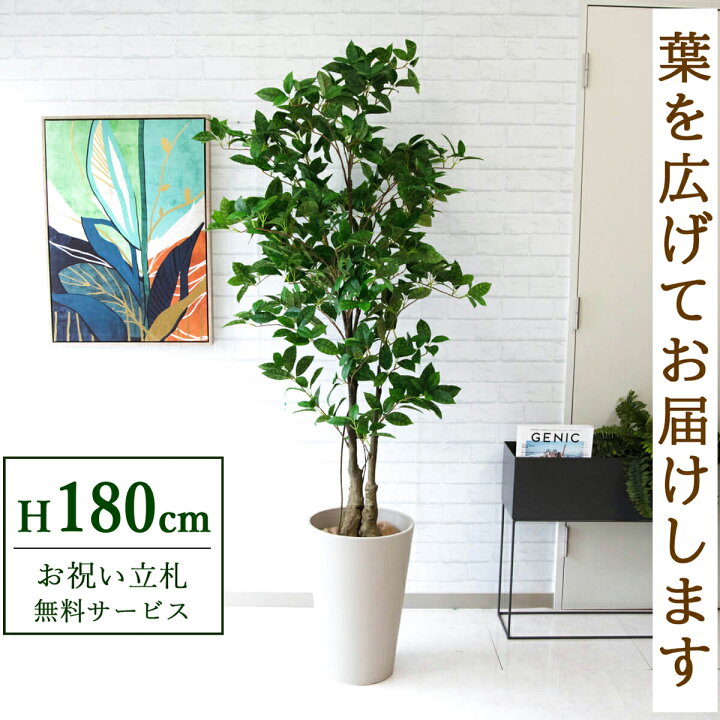 楽天市場】フェイクグリーン 観葉植物 人工観葉植物 オスマンサス 
