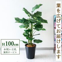 楽天市場】フェイクグリーン ポトスの通販