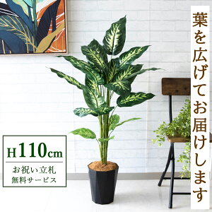 tFCNO[ fBtFoLA H110cm t / lHϗtA ϗtA tFCN  X  JX J ړ] j Mtg v[g  ZW fnEX ItBX 