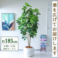 フェイクグリーン 観葉植物 人工観葉植物 シェフレラ カポック 大型 185cm 鉢付き / ★立札無料★ 法人・…