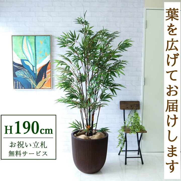 楽天市場】フェイクグリーン 黒竹 H約190cm 鉢付き / 人工観葉植物 