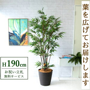 tFCNO[ | H190cm t / lHϗtA ϗtA tFCN  ^ 傫 X  JX J ړ] j Mtg v[g  ZW fnEX ItBX 