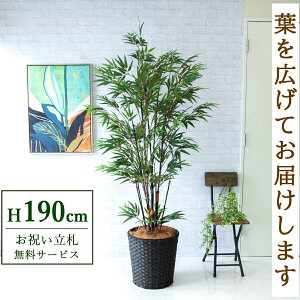 フェイクグリーン 黒竹 H約190cm 鉢付き / 人工観葉植物 観葉植物 フェイク 造花 大型 大きい 店舗 装飾 開店 開業 移転 祝い ギフト プレゼント おしゃれ 住宅展示場 モデルハウス オフィス 立