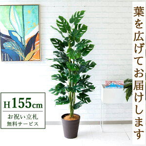 フェイクグリーン スプリットフィロツリー H約155cm 鉢付き / 人工観葉植物 観葉植物 フェイク 造花 店舗 装飾 開店 開業 移転 祝い ギフト プレゼント おしゃれ 住宅展示場 モデルハウス オフ