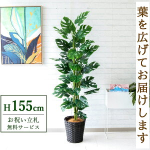 tFCNO[ XvbgtBc[ H155cm t / lHϗtA ϗtA tFCN  X  JX J ړ] j Mtg v[g  ZW fnEX It