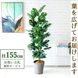 tFCNO[ XvbgtBc[ H155cm t / lHϗtA ϗtA tFCN  X  JX J ړ] j Mtg v[g  ZW fnEX It