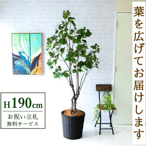 フェイクグリーン スモークツリー H約190cm 鉢付き / 人工観葉植物 観葉植物 フェイク 造花 大型 大きい 店舗 装飾 開店 開業 移転 祝い ギフト プレゼント おしゃれ 住宅展示場 モデルハウス