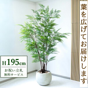 tFCNO[ t@[ H195cm t / lHϗtA ϗtA tFCN  ^ 傫 X  JX J ړ] j Mtg v[g  ZW fnEX ItB