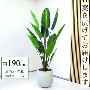 �t�F�C�N�O���[�� �ϗt�A�� �l�H�ϗt�A�� �I�[�K�X�^ ��^ 190cm ���t�� / �����D������ �@�l�E�J�X�j�� �X�܁E�I�t�B�X���� ��ԉ��o ����/PG238-BAL42IV