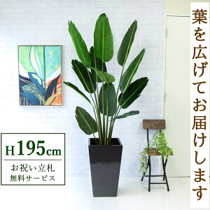 フェイクグリーン オーガスタ H約195cm 鉢付き / 人工観葉植物 観葉植物 フェイク 造花 大型 大きい 店舗 装飾 開店 開業 移転 祝い ギフト プレゼント おしゃれ 住宅展示場 モデルハウス オフ