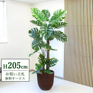 tFCNO[ Xe H205cm t 2 / lHϗtA ϗtA tFCN  ^ 傫 X  JX J ړ] j Mtg v[g  ZW fnEX 