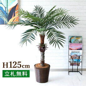 人工 観葉植物 フェイク グリーン フェニックスパームツリー(ヤシの木) H約125cm 店舗 装飾 開店 開業 移転 祝い ギフト プレゼント 住宅展示場 モデルハウス オフィス [お祝い立札無料]【PG240-SYD26DB フェニックスパームツリー(ヤシの木) H約125cm/バスケット鉢】