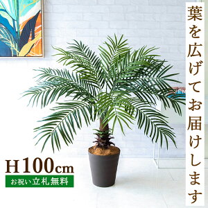 tFCNO[ tFjbNXp[c[(V̖) H100cm t / lHϗtA ϗtA tFCN ԃp[c[ 썑  X  JX J ړ] j Mtg v[g 