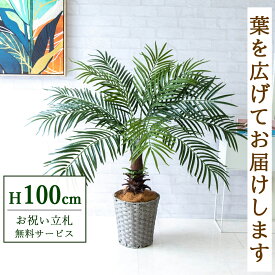 フェイクグリーン フェニックスパームツリー(ヤシの木) H約100cm 鉢付き / 人工観葉植物 観葉植物 フェイク 造花パームツリー 南国 夏 店舗 装飾 開店 開業 移転 祝い ギフト プレゼント おしゃれ 住宅展示場 モデルハウス オフィス 立札無料 /PG241-MEL26GY