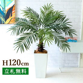 人工 観葉植物 フェイク グリーン フェニックスパームツリー(ヤシの木) H約120cm 店舗 装飾 開店 開業 移転 祝い ギフト プレゼント 住宅展示場 モデルハウス オフィス [お祝い立札無料]【PG241-Q25WH フェニックスパームツリー(ヤシの木) H約120cm/プラスチック樹脂鉢】