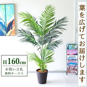 �����D�������y���������z �t�F�C�N�O���[�� �l�H�ϗt�A�� �A���J�p�[�� 160cm ���t�� / �@�l�E�J�X�j�� �X�܁E�I�t�B�X���� ��ԉ��o ����/PG242-B240BR