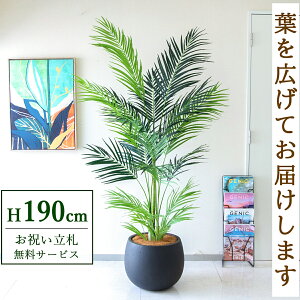 フェイクグリーン アレカパームツリー H約190cm 鉢付き / 人工観葉植物 観葉植物 フェイク 造花 大型 大きいパームツリー 南国 夏 店舗 装飾 開店 開業 移転 祝い ギフト プレゼント おしゃれ