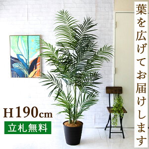 tFCNO[ AJp[c[ H190cm t / lHϗtA ϗtA tFCN  ^ 傫p[c[ 썑  X  JX J ړ] j Mtg v[g  