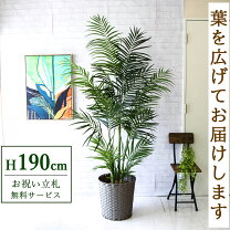 楽天市場】パームツリー 造花の通販