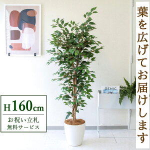 tFCNO[ tBJX xW~ c[ H160cm t / lHϗtA ϗtA tFCN  X  JX J ړ] j Mtg v[g  ZW fnEX