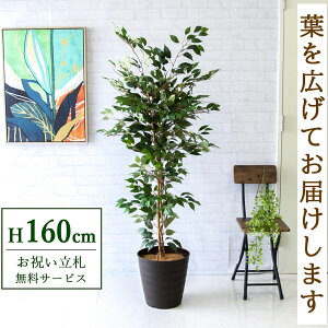 tFCNO[ tBJX xW~ c[ H160cm t / lHϗtA ϗtA tFCN  X  JX J ړ] j Mtg v[g  ZW fnEX