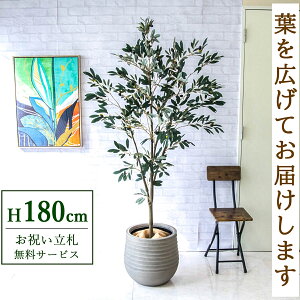 tFCNO[ I[u H180cm t / lHϗtA ϗtA tFCN  ^ 傫 X  JX J ړ] j Mtg v[g  ZW fnEX ItB