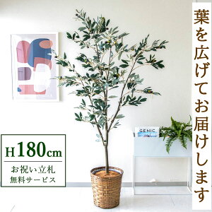 フェイクグリーン オリーブ H約180cm 鉢付き / 人工観葉植物 観葉植物 フェイク 造花 大型 大きい 店舗 装飾 開店 開業 移転 祝い ギフト プレゼント おしゃれ 住宅展示場 モデルハウス オフィ