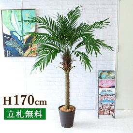 人工 観葉植物 フェイク グリーン フェニックスパームツリー(ヤシの木) H約170cm 大型 店舗 装飾 開店 開業 移転 祝い ギフト プレゼント 住宅展示場 モデルハウス オフィス【PG249-B240BR フェニックスパームツリー(ヤシの木) H約170cm/ポリプロピレン鉢 】