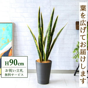 tFCNO[ TZxA H90cm t / lHϗtA ϗtA tFCN  X  JX J ړ] j Mtg v[g  ZW fnEX ItBX D