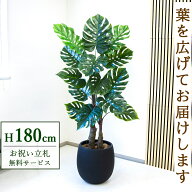 フェイクグリーン 観葉植物 人工観葉植物 モンステラ 大型 180cm 鉢付き / 立札無料 送料無料 法人・開店…